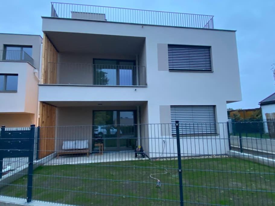 Modern Studio Gardenia_Gartenwohnung Alte Donau فيينا المظهر الخارجي الصورة